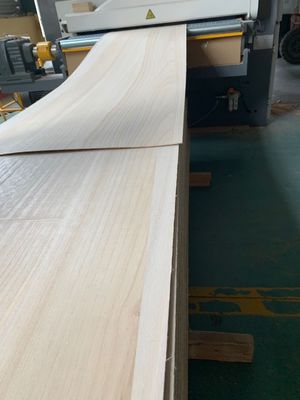 280-300kgs/cbm Πυκνότητα Στερεό Paulownia ξύλο Υπηρεσία μεταπώλησης επιστροφής και αντικατάστασης