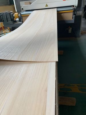 280-300kgs/cbm Πυκνότητα Στερεό Paulownia ξύλο Υπηρεσία μεταπώλησης επιστροφής και αντικατάστασης