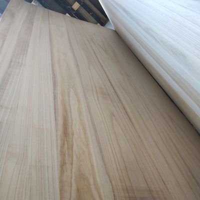 Δέντρα παυλοβούνιας μεμονωμένο μέγεθος Λευκασμένες σανίδες χωρίς κόμβους 1220x2440mm